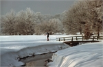 Rhododendronpark im Winter